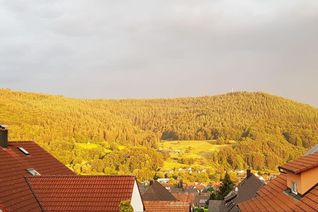 Ferienwohnung Talblick Im Schwarzwald Зельбах Экстерьер фото