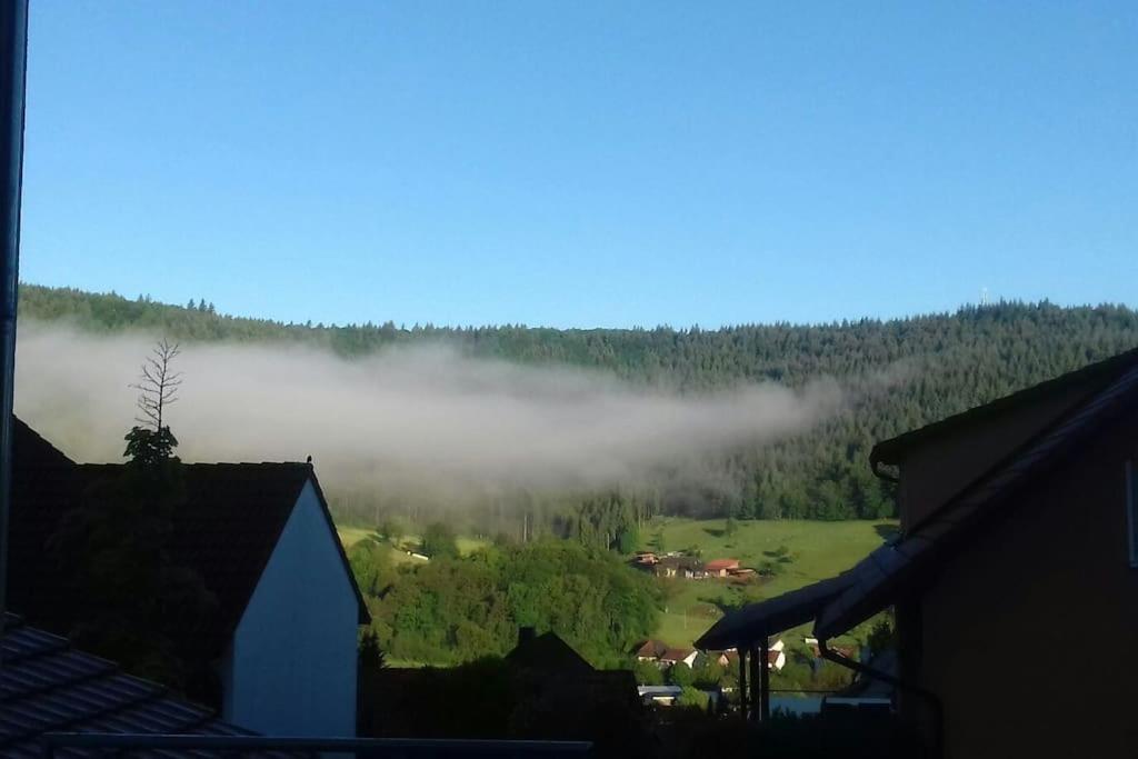 Ferienwohnung Talblick Im Schwarzwald Зельбах Экстерьер фото