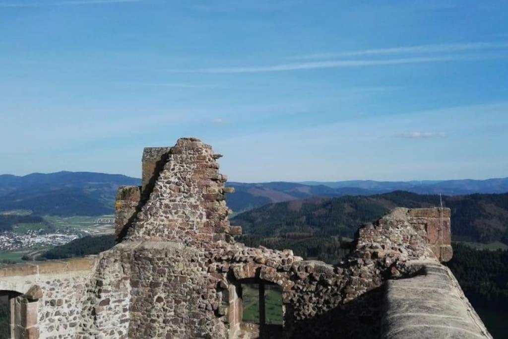 Ferienwohnung Talblick Im Schwarzwald Зельбах Экстерьер фото