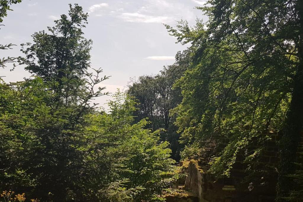 Ferienwohnung Talblick Im Schwarzwald Зельбах Экстерьер фото
