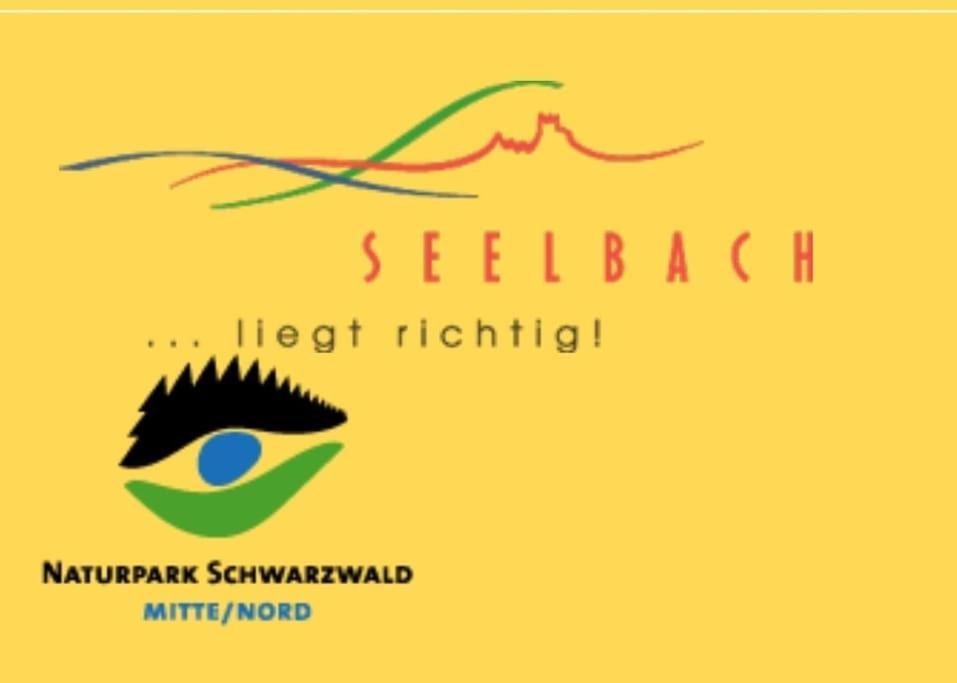 Ferienwohnung Talblick Im Schwarzwald Зельбах Экстерьер фото