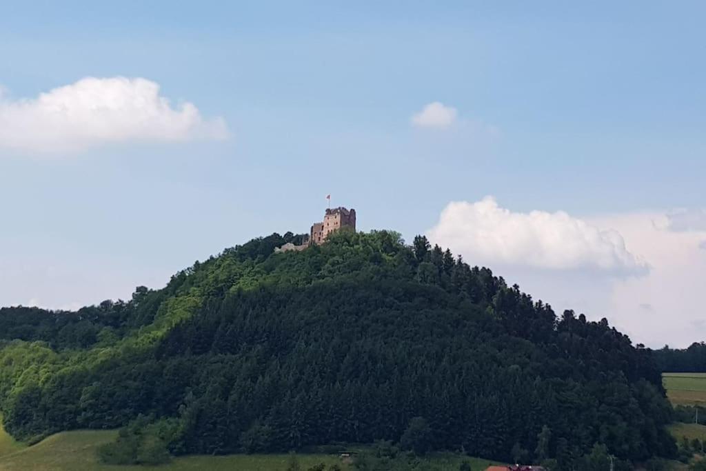 Ferienwohnung Talblick Im Schwarzwald Зельбах Экстерьер фото
