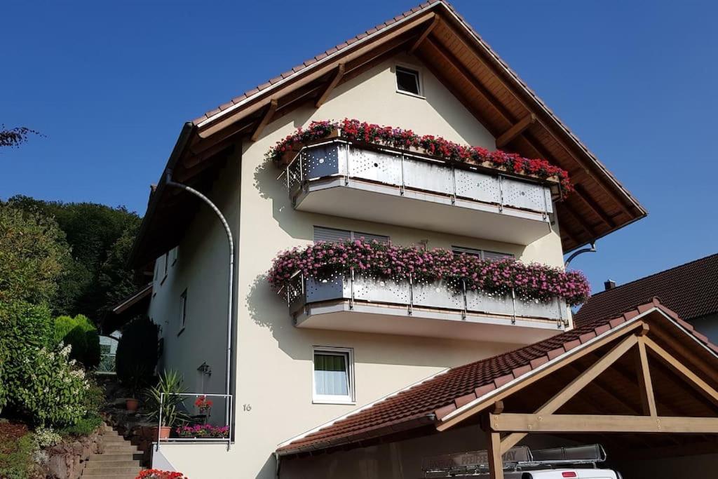 Ferienwohnung Talblick Im Schwarzwald Зельбах Экстерьер фото