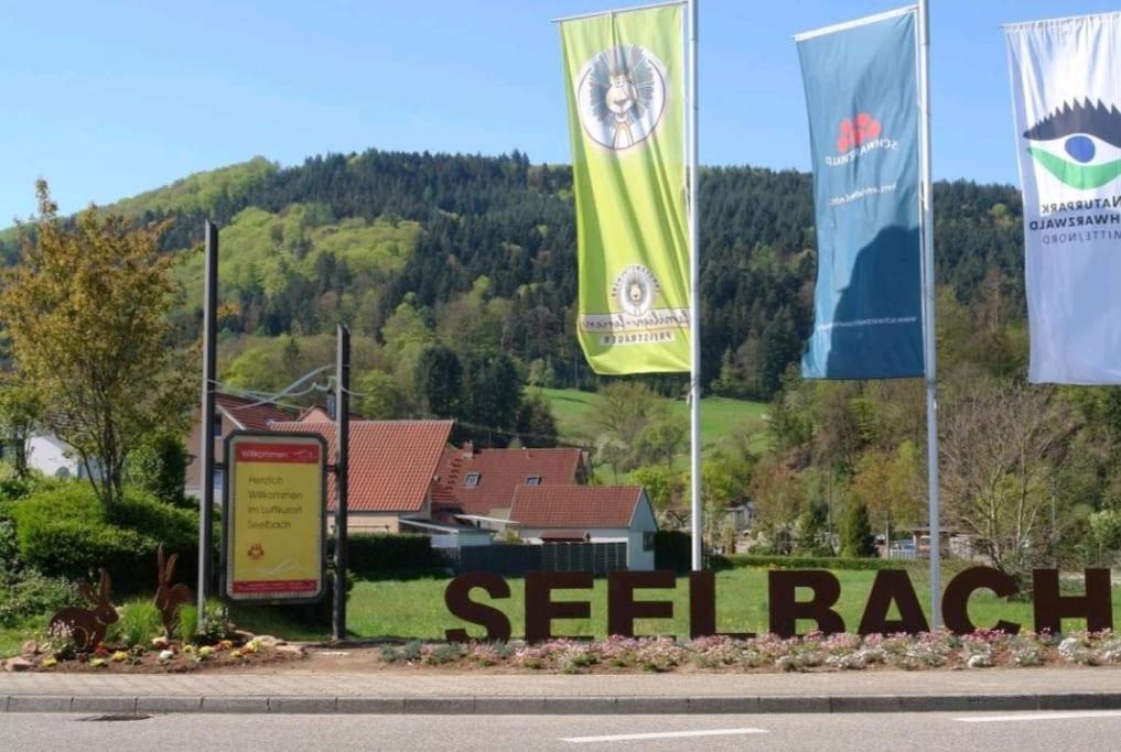 Ferienwohnung Talblick Im Schwarzwald Зельбах Экстерьер фото