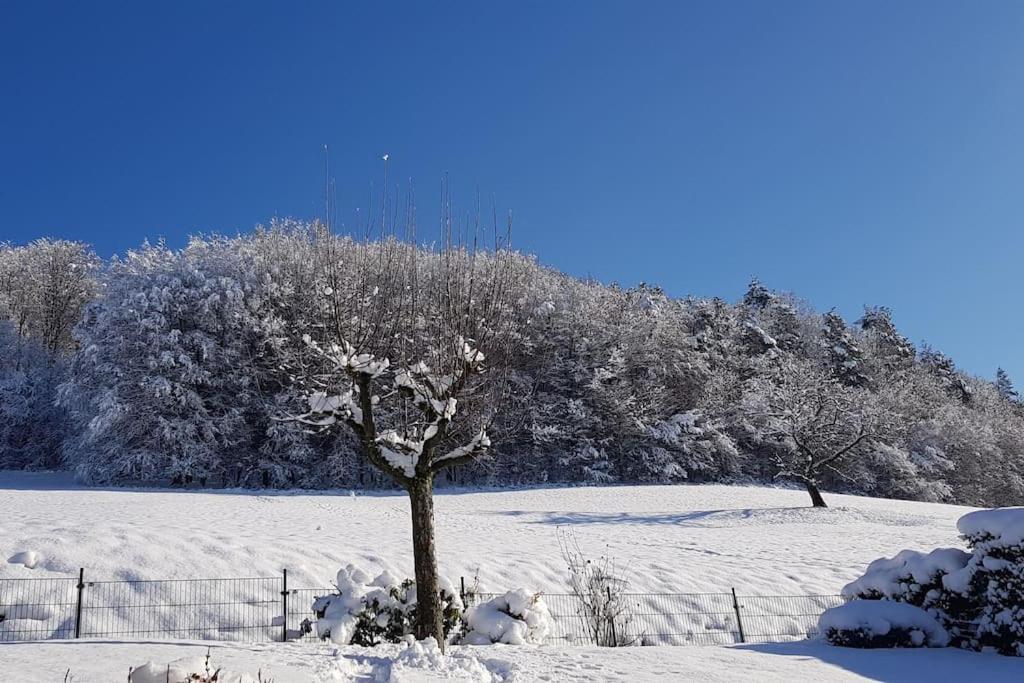 Ferienwohnung Talblick Im Schwarzwald Зельбах Экстерьер фото
