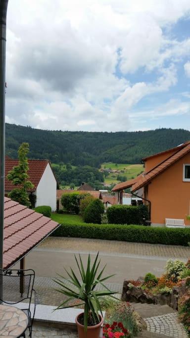Ferienwohnung Talblick Im Schwarzwald Зельбах Экстерьер фото