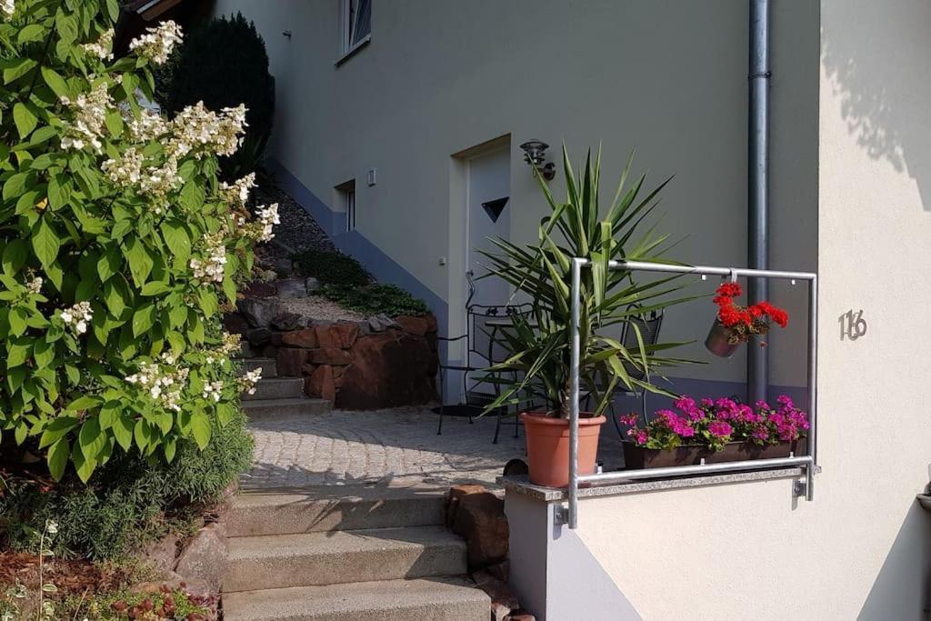 Ferienwohnung Talblick Im Schwarzwald Зельбах Экстерьер фото